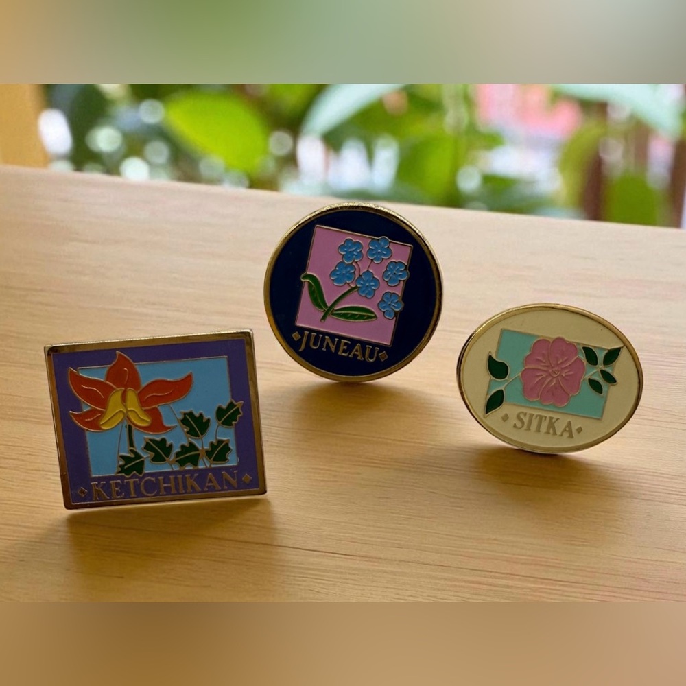 Alaska Souvenir Enamel Scatter Pin Set - Sitka, Juneau, Ketchikan